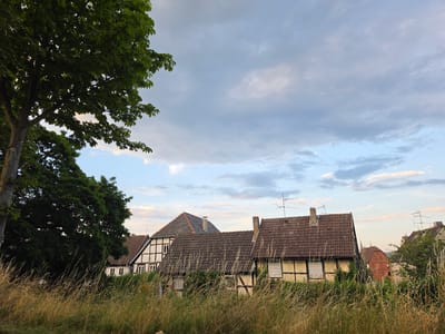 This image depicts a rural or semi-rural landscape in Höxter, Germany. In the foreground, tall, dry grasses dominate the scene, suggesting a warm or late summer season. Behind the grasses, several traditional half-timbered houses are visible, characterized by their dark wooden beams and white infill. These buildings appear to be of modest size and are nestled together. A large, leafy green tree stands prominently on the left side of the image, its branches extending towards the sky. The sky itself is a mix of blue and grey clouds, indicating potentially overcast weather or the transition of day. The overall impression is one of a quiet, idyllic German village or countryside setting. There are no people or animals visible in the frame, and no actions or interactions are depicted. The scene is static and peaceful.