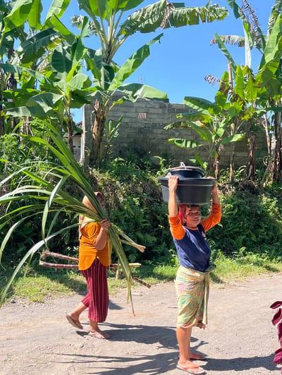 In Tetebatu, Indonesia, two women are seen walking on a dirt path amidst lush vegetation and banana trees under a clear blue sky. The woman on the right, wearing an orange long-sleeved shirt and a floral sarong, carries a large black tub filled with items on her head. She is also wearing a red and patterned headscarf. The woman on the left, dressed in an orange tunic and striped red pants, is carrying a large bundle of green stalks, likely sugarcane, over her left shoulder. Behind them, a low brick wall is visible, and the background is filled with dense greenery and more banana plants. The ground is dry and dusty, with shadows cast by the surrounding plants and structures.
