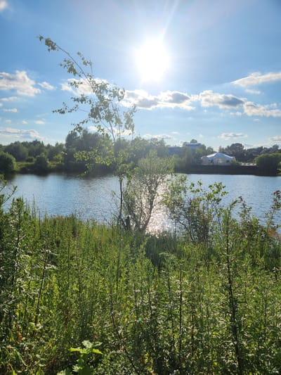 The image depicts a sunny day with bright sunlight shining through a blue sky with scattered white clouds. A body of water, likely a lake or pond, dominates the midground, reflecting the sunlight. Lush green vegetation, including tall grasses and bushes, lines the foreground and the opposite bank of the water. Trees form a dense line across the horizon behind the water, with some buildings and structures, including a white tent-like structure, visible among them. The overall scene appears to be a natural landscape, possibly a park or recreational area, located in or near Yudino, Russia. There are no people or animals visible in the image.