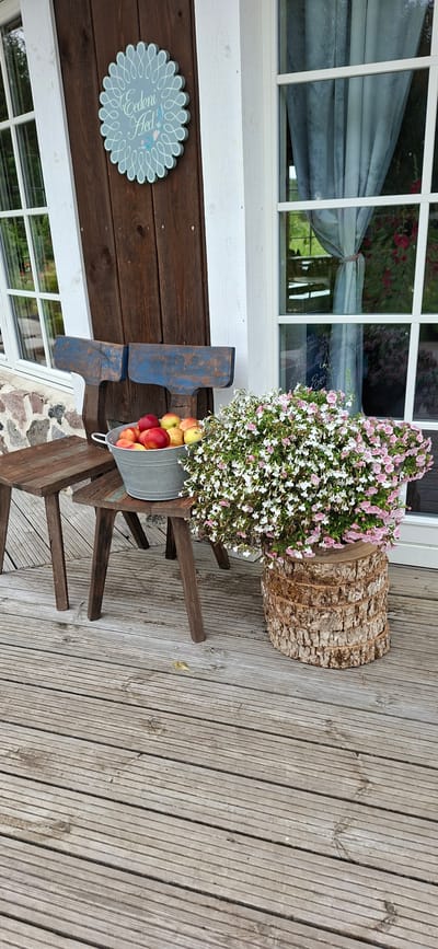 The image shows a rustic porch scene, likely in Pihali, Estonia. The porch is made of weathered wooden planks. To the left, a dark wooden door is mounted with a light blue, scalloped decorative sign featuring swirling lines and a small floral motif. Next to the door, a wooden chair with blue painted backrests is placed. In front of the chair, a galvanized metal bucket is filled with red and yellow apples. To the right of the chair, a large planter made of stacked wood slices overflows with small pink and white flowers. A second, lower wooden table is visible to the far left of the image, also made of weathered wood. Behind the scene, a white-framed window with sheer blue curtains is visible, offering a glimpse of greenery outside. The overall atmosphere is peaceful and suggestive of a rural or garden setting.
