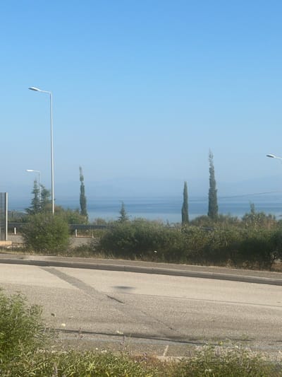 The image depicts a clear, bright day with a wide expanse of pale blue sky dominating the upper portion. Below the sky, a hazy horizon transitions into a calm body of water, likely a sea or large lake, with distant, indistinct landforms visible. Along the shoreline, a dense band of green foliage forms a natural barrier, interspersed with several tall, slender cypress trees.
In the foreground, a paved road runs horizontally across the frame, with a visible curb and a darker gray patch on the pavement. The road is bordered by various types of vegetation, including low-lying green bushes and taller, dry grasses with some small white and purple flowers.
Several streetlights are visible. One tall, white streetlight stands prominently on the left side of the image, positioned behind the foreground foliage. Another, shorter streetlight with a white lamp is visible further back, to the left of the tall cypress trees. A third streetlight, partially obscured by foliage, is seen on the far right. A metal fence is also present on the left edge of the image. The overall scene suggests a roadside view in a coastal or lakeside area.
The image is likely taken in or near the Municipal Unit of Amphilohia, Greece, given the characteristic Mediterranean vegetation and the presence of a body of water with hazy distant landmasses, common to the region. The lighting and atmosphere suggest a time of day with bright sunlight. There are no people or animals visible in the frame.