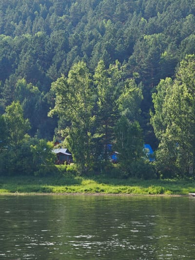 The image shows a body of water in the foreground, with a gently rippling surface reflecting the surrounding greenery. In the mid-ground, a lush green embankment is visible, covered with grass and scattered trees. Nestled amongst the trees are a few buildings, including a wooden house with a dark roof and large windows, and structures with blue roofs, suggesting a residential or recreational area. The background is dominated by a dense forest of tall, green trees, with the terrain sloping upwards. The overall scene depicts a tranquil natural environment with human habitation integrated into the landscape. While the location is stated as Pristan', Russia, specific landmarks that would definitively confirm this location are not discernible from the image alone. There are no people visible in the image.