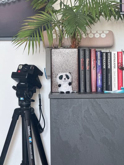 A black Polaroid camera is mounted on a Velbon Videomate 638 tripod, positioned on the left side of the frame. The tripod is set against a white wall. To the right of the camera, on a dark gray shelf, is a small, stuffed panda toy sitting next to a metallic silver book. Behind the panda and book, a potted plant with green fronds extends upwards. Next to the plant, on the shelf, are several books with titles in Cyrillic script. The background features a beige object with circular patterns above the books and plant. The overall scene is indoors, with neutral lighting. There are no people or animals present other than the stuffed panda toy. The location is not specified to be in the city of Mesogi, Cyprus.