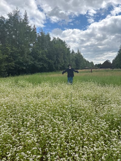 In Sielachowskie, Poland, a field of white flowers, possibly buckwheat, stretches towards a line of trees. In the foreground, a scarecrow stands amidst the blossoms, wearing a dark jacket, blue pants, and a hat. In the middle ground, another figure, potentially a person in a red dress, is visible. In the background, traditional thatched-roof buildings are nestled among the trees. The sky is partly cloudy with a mix of blue sky and white clouds.