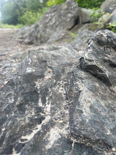 The image is a close-up, low-angle shot of weathered, dark gray rocks on a natural surface. The rocks are textured and appear damp in places, with lighter colored mineral deposits or sand clinging to their surfaces and crevices. Some smaller pebbles and granular material are visible amongst the rocks. In the background, the scene is blurred, showing more rocks and lush green foliage, suggesting an outdoor, natural setting. The image does not contain any identifiable elements that would indicate a specific location within the city of Chilliwack, Canada.