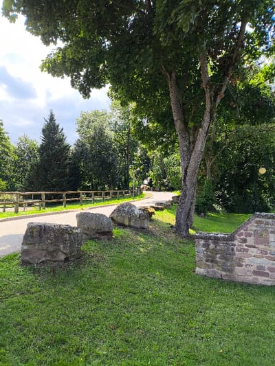 The image displays an outdoor scene within a park or green area in Oberschaeffolsheim, France, under bright daylight with a partially clouded sky. In the immediate foreground on the right, a low stone wall, constructed from varied reddish-brown and gray stones, presents a light-colored rectangular plaque embedded near its top, visibly marked with "2018." To the left of the wall, three large, irregularly shaped natural boulders are positioned on a grassy slope. A paved pathway, likely asphalt, curves from the lower-left foreground to the upper-right background. A wooden fence, composed of multiple horizontal rails, runs parallel to the left edge of this path. A prominent tree with a thick, light-gray, multi-branched trunk and dense green foliage stands on the grassy incline to the right of the pathway. The background consists of dense green trees and vegetation, including a tall, conical evergreen tree on the left. A spherical yellow lamppost is partially visible among the trees in the mid-right background. No individuals or specific activities are depicted within the static scene.