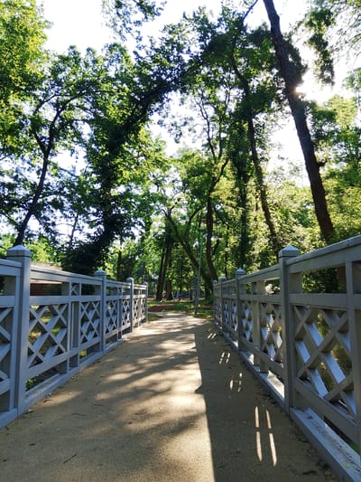 The image depicts a pedestrian bridge in a park-like setting, likely in Backa Topola Municipality, Serbia. The bridge is constructed of light grey wood with an ornate lattice railing featuring diamond-shaped openings. The path across the bridge is paved with a light brown, granular material. Sunlight filters through the dense green foliage of tall trees overhead, casting dappled shadows on the bridge and path, suggesting it is a sunny day, likely morning or late afternoon due to the angle of the sun. The trees are lush and full, indicating a summer season. The scene evokes a sense of tranquility and natural beauty. There is no visible text in the image.