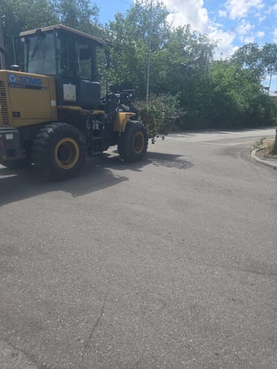 A yellow XCMG LW300KN wheel loader is parked on an asphalt road in front of a dense row of green trees under a partly cloudy blue sky. The loader is facing to the right and is partially obscured by foliage. The loader's bucket contains branches and debris. The road appears to be in a public area with a concrete curb visible on the right side of the image. There are no people visible in the image.