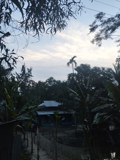The image depicts a rural scene in Southkhali, Bangladesh. In the middle ground, a small, simple house with a corrugated metal roof is partially obscured by dense vegetation. The house appears to be blue with visible windows. The foreground features various trees and banana plants. A dirt path is visible leading toward the house. The sky is visible through the trees, and is clear with clouds. A tall palm tree is visible above the other trees. The overall lighting suggests either early morning or late afternoon.