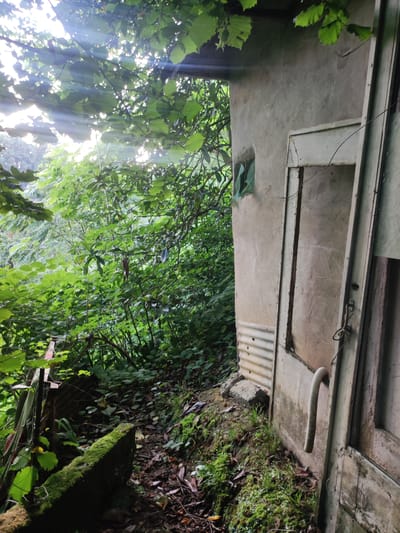 The image depicts an exterior view of a rustic structure, possibly a shed or outbuilding, nestled amidst dense, overgrown vegetation. Sunlight filters through the leafy canopy overhead, casting dappled light and visible rays onto the scene. The structure itself appears to be constructed from rough, weathered materials, with a textured, possibly stuccoed, exterior wall. A large, wooden door is partially open, revealing an interior that is not clearly discernible.
Adjacent to the building, there is evidence of disuse and natural overgrowth. The ground is covered in soil, fallen leaves, and patches of mossy grass. A section of corrugated metal sheeting is visible at the base of the building, possibly part of its foundation or an added feature. A curved, grey conduit pipe extends from the wall near the door, its purpose unclear in the context.
To the left of the structure, a weathered wooden fence or barrier is partially visible, also encroached upon by foliage. A moss-covered, horizontal element, possibly a stone or concrete block, juts out in the foreground, further emphasizing the wild and untamed nature of the environment.
The overall impression is one of a neglected, secluded location, where nature is actively reclaiming the man-made structure. The scene evokes a sense of abandonment and quiet decay. The location is identified as being in Makhinjauri, Georgia. There are no people visible in the image.