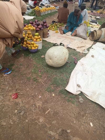 A street market scene is depicted in Tilde, Nigeria. In the foreground, a person wearing a tan abaya and patterned pants is bent over, examining fruit. To the right, a large, pale green, round squash rests on the grass, with two dark objects on its surface. A white tarp is spread out behind the squash. In the midground, a man in a teal robe and patterned hat is seated, talking on a mobile phone, with a burlap sack next to him. Several baskets filled with yellow and orange fruits are visible, along with red onions in woven baskets. In the background, other market-goers and produce stalls are present. The ground is a mix of dirt and sparse grass.
