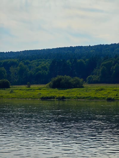 This is a landscape photograph taken from the bank of the Tayurka River in Predivinsk, Russia. The foreground is dominated by the rippling surface of the river, reflecting the light and appearing dark blue and green. In the middle ground, a lush green grassy bank is visible, with scattered bushes and a few small trees. Beyond the grassy bank, a dense, dark green forest covers a gently sloping hillside. The sky above is a pale blue with scattered, wispy white clouds. The overall impression is one of a serene, natural environment. There are no people or animals visible in the image.