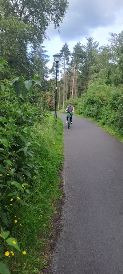 A person rides a bicycle on an asphalt path through a park with lush green trees and foliage. The path curves to the right, disappearing into the distance. A lamppost stands on the left side of the path. Small yellow flowers are scattered among the grass bordering the path. The sky above is cloudy. The scene is set in a park located in Castlebar, Ireland.