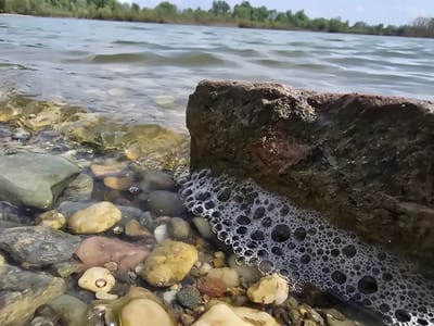 This is a close-up, low-angle photograph of the edge of a body of water, likely a lake or a slow-moving river. The foreground is dominated by a rocky shoreline. Smooth, rounded pebbles of various sizes and colors, including grey, tan, and a reddish-brown, are visible beneath the clear water. Some of the stones are partially submerged, while others are exposed on the bank.
A large, dark, porous rock is prominent in the mid-ground, positioned diagonally across the frame and slightly obscuring the view of the water behind it. Along the edge of this rock, where it meets the water, a line of white foam is present, composed of numerous small bubbles.
The water itself appears slightly rippled, suggesting a gentle breeze. In the background, a distant shoreline is visible, lined with lush green trees under a bright, partly cloudy sky. The overall impression is a natural, tranquil scene at the water's edge.
The location is identified as Krčmaň, Czechia.