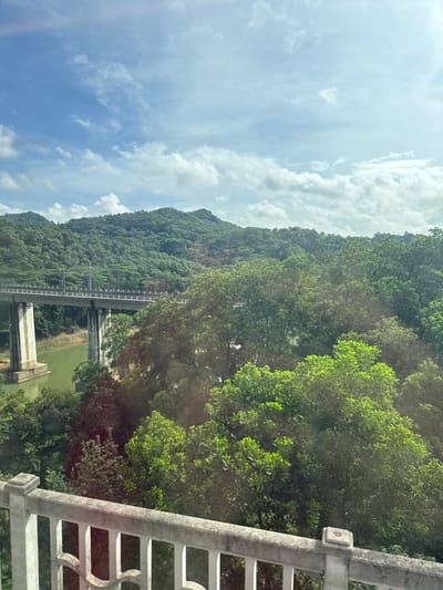 The image shows a view from a bridge or elevated walkway looking out over a lush green landscape with a large viaduct spanning across a body of water. The viaduct, constructed of concrete, has multiple pillars supporting a wide roadway or railway line, with overhead power lines visible. The water below the viaduct appears to be a greenish hue. Dense, verdant foliage covers rolling hills in the background, with a few scattered clouds in a bright blue sky. In the foreground, a section of a white concrete railing with decorative cutouts is visible, suggesting the vantage point is from a pedestrian area or structure. The scene suggests a semi-urban or natural setting, possibly in Longhua District, China, where such infrastructure and natural beauty coexist. There are no people or animals visible in the frame, and no apparent activity is taking place other than the implied function of the bridge as a transportation route. The overall impression is one of a picturesque landscape enhanced by modern engineering.