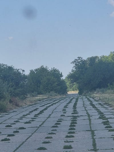 The image shows a perspective view of a paved road leading into a tunnel of trees. The road is made of large, square concrete slabs, with small patches of grass growing in the gaps between them, creating a pattern. The road appears to be in a rural or semi-rural setting, with vegetation on either side and a clear sky overhead. The overall impression is one of an abandoned or disused pathway. The location is identified as Pidhaitsi, Ukraine.