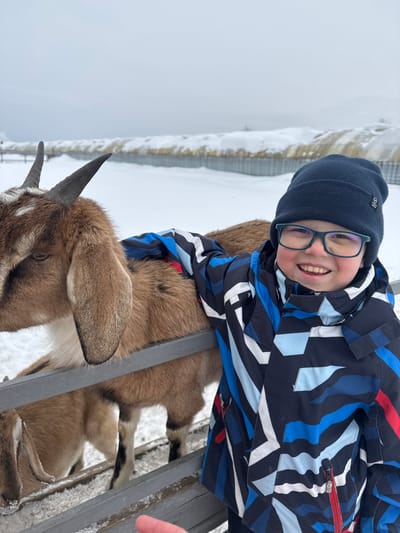 A young child, appearing male, is depicted in a snowy outdoor environment in Zaosinovo, Russia, interacting with goats. The child, positioned on the right side of the frame, wears a dark blue beanie, green-framed glasses, and a multi-colored winter jacket featuring blue, white, and red geometric patterns. He smiles towards the camera, with his left arm resting over the back of a light brown goat. This goat, possessing dark horns and long, floppy ears, stands behind a grey horizontal metal fence. The head of a second, similar goat is partially visible behind the fence to the lower left. The ground is entirely covered in white snow. In the background, multiple structures with snow-covered curved roofs are visible under an overcast grey sky. A small portion of a human finger is present at the bottom center of the image.