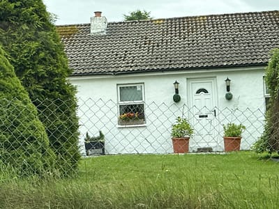 This image depicts a white cottage in Castledermot, Ireland, viewed through a wire fence. The cottage has a grey, tiled roof with some moss growth and a brick chimney. There are two windows visible on the front of the house, one with a flower box. A white front door with a semi-circular glass panel is centrally located. Two black outdoor lamps with spherical shrubbery attachments flank the door. In front of the house, to the left of the door, are two terracotta pots containing green plants. To the left of the window and a dark planter, a large evergreen tree is prominent. The foreground is dominated by tall green grass and the wire mesh of the fence. The sky is overcast.