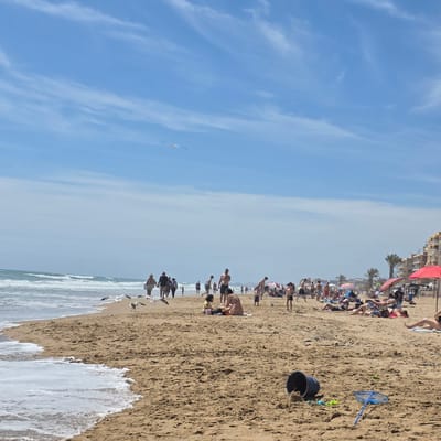 The image depicts a beach scene in Guardamar Del Segura, Spain. The photograph is taken from the beach, looking slightly up at the people on the beach, buildings in the distance, and the sky.
The beach has a collection of people, including sunbathers, beachgoers, and birds along the waterline. Some are swimming in the water. The waves are crashing on the beach. In the top right, there are buildings that may be condos or hotels. There are beach items on the sand, including a bucket and a net. A lone bird is flying across the sky.
