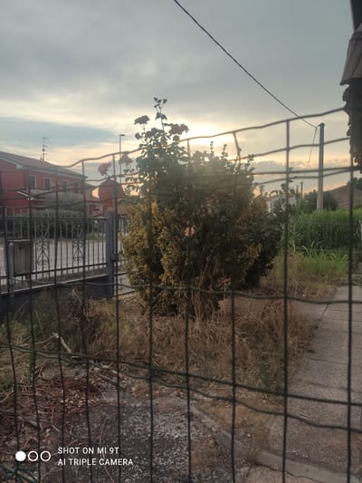 This is a photograph taken in Bagnoli di Sopra, Italy, during sunset. The scene is framed by a black wire fence, suggesting it was taken from a yard or enclosed space.
In the foreground, dry, brown grass and twigs are visible, indicating a dry season or neglected area. Behind the fence, a rose bush with several pink roses is prominent, some facing towards the viewer. Further back, a dense green bush and some dry brush are also present.
A red-roofed building with a few visible windows is partially obscured by the vegetation and fence. A metal gate with decorative scrollwork is also visible. Beyond the building and vegetation, a paved area or road can be seen. In the sky, clouds are illuminated by the setting sun, casting a warm, golden light. A lamppost is also visible in the distance. The overall mood is serene and possibly melancholic due to the dry vegetation and sunset lighting.
The image also contains visible text in the bottom right corner: "SHOT ON MI 9T AI TRIPLE CAMERA".