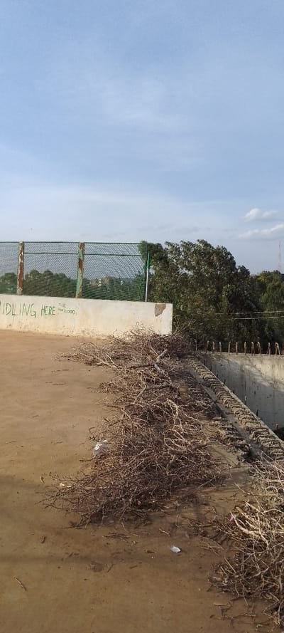 A rooftop scene shows piles of dry branches scattered across a flat, brown surface, extending along a concrete barrier with exposed rebar. A chain-link fence borders a lower level with trees visible beyond. Graffiti on a concrete wall reads "IDLING HERE" with a small handwritten phrase below. The sky is a pale blue with scattered clouds.