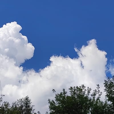 The image shows a bright blue sky with large, fluffy white cumulus clouds. The lower portion of the frame is filled with the dark green canopy of several trees. The scene is an outdoor environment, likely a park or a residential area, given the presence of trees and the open sky. There are no people or animals visible in the image. The overall impression is one of a clear, sunny day. No specific location in Vatagi, Russia, is identifiable from the visual information provided.