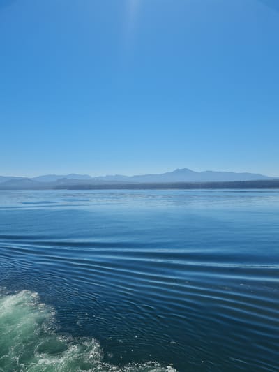 This is a landscape photograph with a clear blue sky dominating the left half of the frame. The right half of the image features a body of water with distinct wave patterns. In the distance, along the horizon line, there are faint, layered mountain ranges or hills covered in trees, suggesting a natural, possibly remote, setting. The water exhibits a gradient of blue, from a lighter shade near the distant land to a darker, more turbulent hue on the right, where foam and whitecaps indicate movement, likely from a boat or vessel passing through. The scene suggests a peaceful day, possibly in the morning or late afternoon due to the soft light and clear sky. The waves create a visually dynamic element, contrasting with the serene sky and distant landscape. There is no visible text in the image.