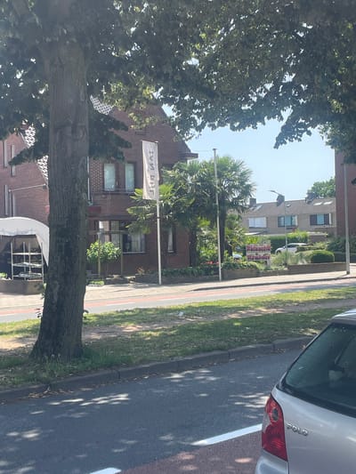 This is a low-angle, wide shot of a tree-lined street on a sunny day. The scene is dominated by the large, leafy branches of a mature tree in the foreground, casting dappled shadows on the asphalt road and a grassy verge. Beyond the tree, several brick buildings are visible, some with multiple stories and windows. In the middle ground, a sign with pink lettering that reads "Malasch Krän" is displayed prominently, suggesting a business or event. Palm trees and other greenery are interspersed among the buildings, adding a tropical touch to the otherwise suburban setting. A silver car is parked on the right side of the road, its rear visible to the viewer, with "POLO" emblazoned on its taillight. A white flag with black lettering, partially obscured by leaves and the angle of the shot, is also visible on one of the buildings. The overall impression is one of a bright, pleasant day in a residential or mixed-use area, possibly in Venlo, Netherlands, given the location context. There are no people clearly visible in the frame.