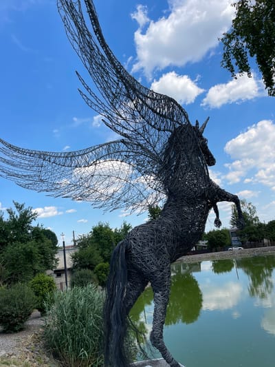 This is a medium, eye-level, outdoor shot of a large, black wire sculpture of a winged horse, possibly Pegasus, set against a bright blue sky with fluffy white clouds. The sculpture is intricately woven from thin wires, giving it a skeletal, airy appearance. Its head is tilted upwards and to the left, and its large, elaborate wings are spread wide, extending towards the left side of the frame. The horse's body is in mid-leap or flight, with its legs tucked or extended.
The scene appears to be in a park or public space, with lush green trees and bushes framing the sculpture on the right and top left. In the background, on the right, a calm body of water, likely a pond or canal, reflects the sky and surrounding greenery. The water's edge is lined with stones and then a path. Beyond the water, there are some buildings and more trees, suggesting an urban or suburban fringe setting. The overall impression is one of freedom, myth, and artistic expression.
The lighting suggests it is daytime, likely late morning or early afternoon, with bright sunlight. The weather appears to be pleasant, with a clear sky and scattered clouds. The location is Vynnyky, Ukraine, as indicated by the provided context. There is no visible text in the image.