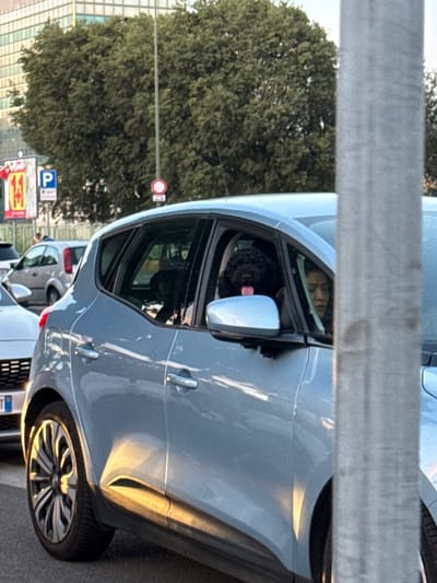 A light blue hatchback car is parked on a city street in Sesto San Giovanni, Italy. The car is viewed from the side and slightly from the front. A black poodle with its tongue sticking out is visible in the driver's side window, looking out. To the right of the dog, a person's face is visible through the window, looking forward. The car's windows are partially open. In the background, there are trees, a building, and street signs, including a parking sign. The sun is reflecting off the car's surface. A metal pole is in the foreground on the right side of the image, partially obscuring the car. The car appears to be in traffic.