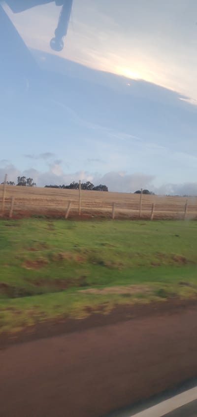 The image presents a view of a rural scene in what is likely Kisima Ward, Kenya. A brown road occupies the right of the frame, transitioning to a strip of green grass that meets a fenced-off field of wheat or dried grass. The fence posts are wooden and evenly spaced. Beyond the wheat field, there are dark trees at the edge of the field and a light blue sky with white clouds and the sun setting on the left-hand side. There is an item that appears to be attached to the car window.