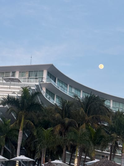 An upward shot reveals a curved building facade with numerous windows next to palm trees. Above, the clear sky hosts a visible moon. The building appears modern, with subtle color variations. The palm trees add a tropical feel, contrasting against the contemporary structure. The moon is slightly blurred, indicating a focus on the architecture and vegetation below.