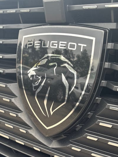 The image shows a close-up view of a black Peugeot emblem on the front grille of a car. The emblem is shield-shaped and features a silver outline. Inside the shield, the word "PEUGEOT" is written in silver capital letters, and below that, a stylized silver lion's head is depicted. The grille itself is black with horizontal slats, and some of these slats have small, reflective silver rectangular accents. The background is blurred, showing trees and the reflection of what appears to be other vehicles. The emblem and grille appear to be outdoors, possibly in a public area or driveway. There is no indication of the specific location within Траццякоўскі сельскі Савет, Belarus.