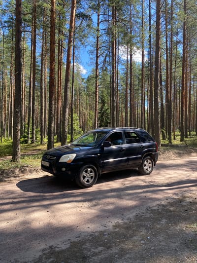 A black Kia Sportage SUV is parked on a dirt road in a dense pine forest. The car is facing left, with its front slightly angled towards the camera. Sunlight filters through the trees, casting dappled shadows on the road and the vehicle. The trees are tall and slender, with a thick canopy of green needles. The ground is covered in pine needles, small stones, and sparse dry grass. The sky is visible through the gaps in the trees, appearing as a clear blue with a few wispy white clouds. The scene suggests a remote, natural setting. The image was taken in Leipyasuo, Russia.