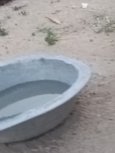 An outdoor, low-angle, medium shot captures a grey, oval-shaped basin partially filled with a lighter grey substance, possibly cement or sand. The basin is positioned on a sandy, uneven ground with sparse, dry vegetation and small dark pebbles scattered across the surface. In the background, the ground continues with a similar texture and scattered plant life. A small, white object, possibly a piece of paper or plastic, is visible in the upper right portion of the frame. The scene appears to be an outdoor setting in a rural or undeveloped area, with no discernible city landmarks.