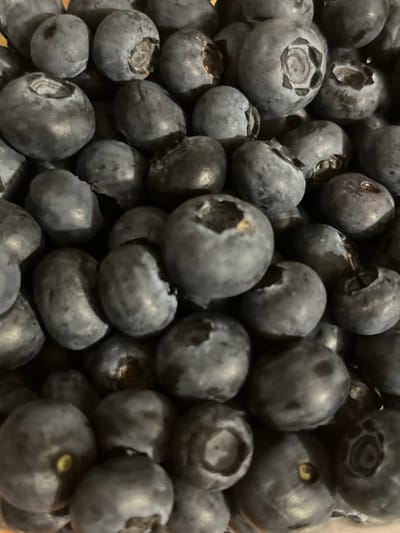 This is a close-up, top-down shot of a large pile of fresh blueberries. The berries are a deep blue-purple color, with some lighter blue-gray tones, indicating they are ripe. They are packed tightly together, filling the entire frame. The lighting is slightly diffused, suggesting an indoor setting or an overcast day.
Many of the blueberries show the characteristic indentation at their tops where the stem was attached. Some of these indentations are darker and appear to have small remnants of the blossom end. The smooth, rounded surfaces of the berries are visible, and there are subtle variations in their shapes and sizes, with a few appearing slightly oval and others more perfectly spherical.
The overall impression is one of abundance and freshness. The focus is entirely on the fruit, with no background elements visible. The image captures the texture and natural beauty of the blueberries, highlighting their plumpness and appealing color. No people, text, or specific location cues beyond the general agricultural context are visible. The setting appears to be a container or surface where the blueberries are being held or displayed.
