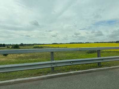 The image captures a roadside view with a guardrail in the foreground and a field of yellow flowers in the background. The sky is overcast with scattered clouds. The scene appears to be an open rural or suburban area, not specifically identifiable as the city of Mitino, Russia. There are no people, specific subjects, or actions depicted. The environment consists of a paved road, a metal guardrail, green grass with small yellow flowers, and a distant field of yellow flora.