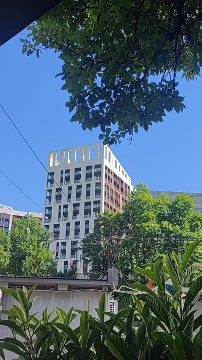 A clear, bright day is depicted in Dagomys, Russia, with a vibrant blue sky overhead. The scene is a juxtaposition of urban architecture and lush greenery. In the mid-ground, a modern, multi-story building with a white facade and dark-framed windows stands prominently. The building features a decorative top with open rectangular structures. To its left, another, less distinct building is partially visible.

The foreground is dominated by the dense foliage of trees, with their green leaves and branches partially obscuring the view of the buildings and the sky. The leaves in the foreground are large and glossy, suggesting healthy growth. In the distance, behind the main building and also interspersed with trees, power lines and utility poles are visible, hinting at the presence of infrastructure within the urban setting. The overall impression is one of a sunny day in an area where nature and modern construction coexist. There is no visible text in the image.