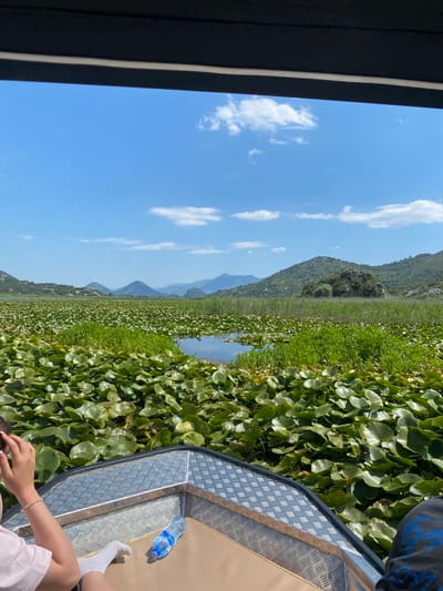 This media file captures a serene scene from a boat on a body of water, likely Skadar Lake in Riječani, Montenegro. The image is oriented vertically, with the sky occupying the left side and the landscape on the right.
The foreground on the right shows the edge of a boat with a metallic diamond-plate texture and a tan upholstered seat. A person's legs and feet, clad in white socks, are visible, along with their hands in the lower right corner. A partially visible person in a grey t-shirt with a blue emblem is also present. A clear plastic bottle of water rests on the boat's surface.
The dominant feature of the scene is the dense coverage of large, green lily pads, which extend across the water and toward the distant shore. Behind the lily pads, tall green reeds and grasses create a textured band. In the background, rolling, tree-covered hills rise up, with hazy mountains visible further in the distance.
The sky is a vibrant blue with scattered white cumulus clouds. The lighting suggests it is daytime, likely late morning or early afternoon, given the bright sunlight casting shadows. The overall mood is peaceful and tranquil, evoking a sense of leisurely exploration on the water.
No visible text is present in the image.
