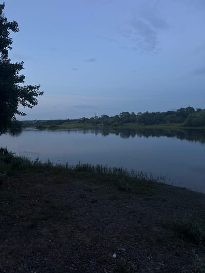 This media file depicts a serene evening scene at a riverbank, likely near Coșnița, Moldova. The photograph is oriented vertically, with the river and its tree-lined opposite bank filling the majority of the frame. The water's surface is calm, reflecting the dusky sky and the dense foliage. The sky itself is a soft, muted blue with a few wispy clouds, suggesting either dawn or dusk.

On the right side of the image, the ground is covered in dark gravel and scattered green vegetation, indicating a rough, uncultivated area. On the left, silhouetted trees with dark green leaves frame the scene. In the distance, across the river, a continuous line of trees forms a dark, verdant backdrop, broken only by faint structures that hint at human presence on the far bank. Power lines are subtly visible stretching across the sky on the left side of the image, a common feature in rural landscapes.

The overall mood is peaceful and tranquil, with the fading light casting a soft, diffused glow over the landscape. The scene suggests a quiet moment of reflection by the water, with no people or specific activities evident. The time of day is clearly either early morning or late evening, given the low light and soft sky colors. The location cues, such as the river and the type of vegetation, are consistent with a riparian environment in a temperate region. There is no visible text in the media file.