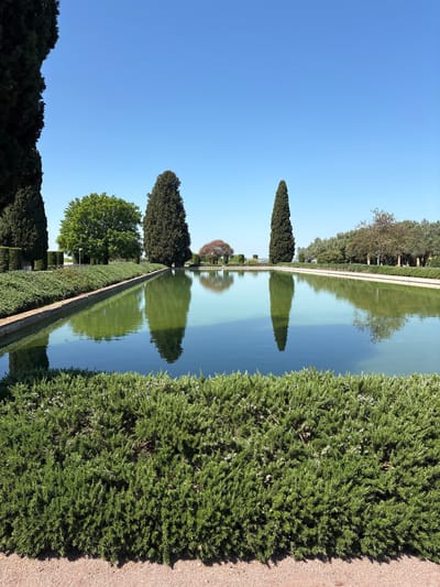 The image shows a reflecting pool in the Villa d'Este in Tivoli, Italy. The pool is lined with trees, bushes and a stone walkway on both sides. The reflections of the trees and bushes can be seen in the water. The sky is clear and blue.