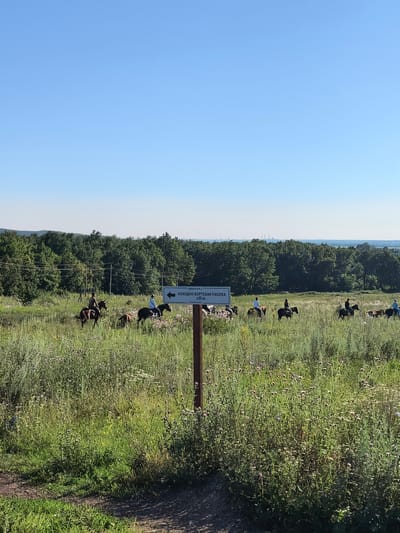 The image depicts a pastoral scene with a group of people on horseback in a grassy field under a clear blue sky. The field is filled with tall grass and wildflowers, and a dense forest borders the horizon. A wooden signpost with a directional arrow and text in Russian stands in the foreground. The text on the sign reads "ТОРАТАУ — КОЛОДНО-БОРТЕВАЯ ПАСЕКА 200 М.", indicating that a "Kolodno-Bortevaya Pasture" is located 200 meters in the direction of the arrow. The city of Shikhan, Russia, is a known location for the mountain Toratau, suggesting this scene is in its vicinity. The people appear to be engaged in a recreational horse ride, possibly as tourists or locals enjoying the natural landscape. The overall atmosphere is serene and bucolic, highlighting the natural beauty of the Russian countryside.