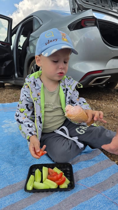 A young child sits on a blue and gray striped blanket on the ground, with a silver car parked behind him, its trunk and driver's side door open. The child is wearing a light blue cap with an image of a bunny and the word "sdney" and "ok" on it. He also wears a grey jacket with a dinosaur print and a light olive-colored t-shirt. In his right hand, he holds a piece of cooked meat, likely a drumstick. In front of him on the blanket is a black plastic container filled with cut cucumber and tomato slices. The child is looking down at the food. The environment appears to be outdoors, with a dirt and gravel ground and a cloudy sky overhead. The location is the city of Дарьино, Russia.