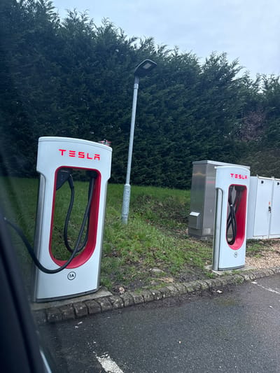 The image displays a Tesla Supercharger station situated in East Hampshire, United Kingdom. The scene is outdoors under an overcast sky. In the foreground, asphalt pavement with a faded white line marking a parking spot is visible, viewed from the interior of a vehicle as indicated by a dark door frame on the far left. A low curb composed of rectangular stone blocks separates the pavement from a strip of damp, patchy green grass with areas of exposed soil.
Two white and red Tesla Supercharger stalls are positioned on the grassy strip. The prominent stall on the left is labeled "1A" at its base, featuring a black coiled charging cable within its red-lined holster. A small, dark object, potentially a drone or toy, rests on the upper surface of this stall. To the right, a second identical Tesla Supercharger stall, labeled "1B", is partially visible, also with its charging cable stowed.
Between the two charging stalls, a tall, slender gray metallic street lamp post equipped with a rectangular LED light fixture stands. Behind the right-hand Supercharger stall, two metallic utility cabinets are visible against the backdrop. The background consists of a dense, dark green wall of evergreen trees, likely a hedge or conifer row, extending horizontally under the diffused light of the overcast sky. No individuals or vehicles actively engaged in charging are present within the frame.