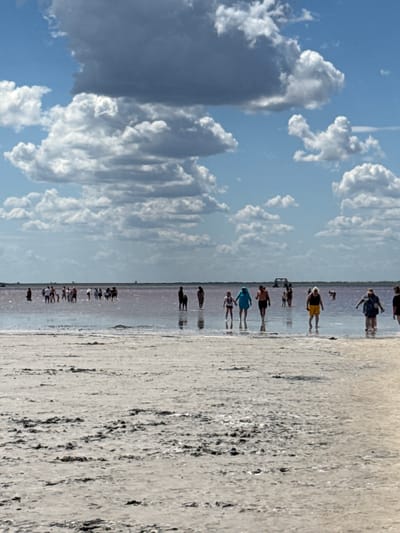 A wide shot captures a scene on the pink salt flats of Lake Bursol in Russia. The foreground is dominated by a textured, muddy, and gritty shore, with scattered dark clumps of what appears to be mud or salt deposits. In the middle ground, several people are wading in the shallow, pink-hued water. Some are walking individually, while others are in small groups. The water extends to the horizon, where a thin line of land is visible under a partly cloudy sky. The clouds are a mix of white puffy cumulus and darker, more ominous storm clouds.