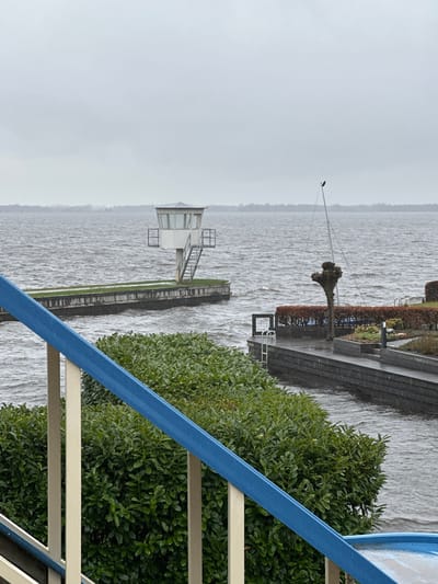 The image depicts a waterfront scene in Wanneperveen, Netherlands, under an overcast sky. The foreground features a blue metal handrail with cream-colored vertical supports, wet with what appears to be water droplets, obscuring the bottom-left corner. Below and behind this railing, dense green bushes are visible.

In the midground, to the left, a white, two-story, octagonal observation or control tower with a grey conical roof stands on a concrete pier. The tower's upper level features multiple windows and is accessed by an external metal staircase leading to a surrounding platform. The concrete pier supporting the tower has a flat, grassy top and extends into choppy, grey-brown water.

To the right of the tower, a dark-colored wooden or composite pier system forms a small marina or dock area. This pier features raised planters with manicured evergreen bushes, some displaying reddish-brown foliage. A small, leafless tree with a distinctly rounded, topiary-style crown stands near the center of this pier system. A metal ladder descends into the water from one section of the pier.

The entire body of water is choppy, suggesting windy conditions. The background shows a wide expanse of this grey-brown water extending to a distant, flat horizon line. Faint land features, possibly trees, are discernible along the far shoreline under a uniform grey, overcast sky. No individuals or active vessels are present in the scene.