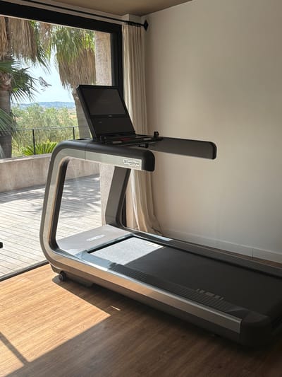 A Technogym treadmill is positioned indoors on a wooden floor, bathed in sunlight streaming through a large window. The window overlooks a scenic view of palm trees, lush greenery, and rolling hills under a clear sky. A small bird is perched on a palm frond outside the window. The treadmill is dark gray with silver accents and features a large display screen. Light-colored curtains hang on the right side of the window. The scene appears to be in a modern residential setting in Montuïri, Spain.