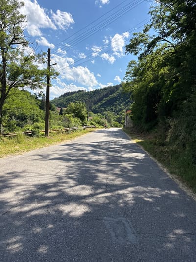 A paved road winds through a lush, green landscape under a bright blue sky with scattered white clouds. Tall trees line the sides of the road, casting dappled shadows on the asphalt. In the distance, rolling hills covered in dense forest rise up, with glimpses of red-tiled roofs from houses nestled among the trees. A single wooden utility pole stands on the left side of the road, carrying multiple power lines that stretch across the sky. A cyclist is visible in the middle distance, riding away from the camera on the right side of the road. The road itself appears to be in good condition, with some minor cracking visible. The overall impression is one of a peaceful, rural scene in the town of Lukovo, Bulgaria.