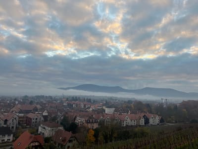 An elevated, wide-angle photograph depicts a panoramic view of the city of Obernai, France, under an overcast sky with atmospheric haze. In the foreground, spanning the lower right, are rows of dormant grapevines characteristic of a vineyard. The midground encompasses the urban landscape of Obernai, featuring a dense arrangement of buildings, predominantly residential, characterized by numerous red and orange tiled roofs. Various architectural styles are present, including structures with light-colored facades and darker elements, some displaying half-timbering. A prominent church spire is visible rising above the rooftops in the central-left area, partially obscured by a pervasive layer of fog or haze that blankets parts of the city. To the far right, a large white building complex and a construction crane are discernible. The background features a range of mountains, partially obscured by a thick layer of low-lying fog and clouds, forming dark silhouettes against the sky. The upper portion of the image is dominated by an overcast sky with stratified clouds, exhibiting patches of golden-yellow and pale blue light, indicating diffuse illumination. No individuals or direct actions are depicted within the scene.