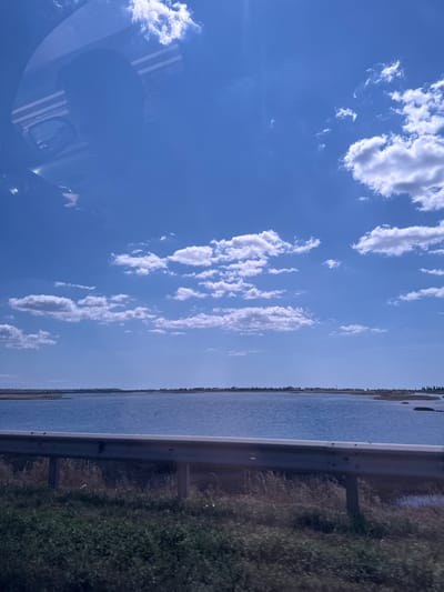 The image depicts a wide expanse of calm, blue water under a bright blue sky dotted with fluffy white clouds. In the foreground, a metal guardrail runs horizontally across the frame, separating the viewer from a patch of dry grass and vegetation. Beyond the guardrail, the water stretches out, with a distant, low-lying shoreline visible on the horizon. The shoreline appears to be lined with trees and some structures, suggesting a settled area. The overall impression is one of a serene, open landscape, possibly a coastal area or a large lake. There are no people visible in the image. The reflection of what appears to be a car's windshield and interior is visible in the upper left portion of the sky, indicating the photograph was taken from inside a vehicle. The location is identified as Koshary, Ukraine.